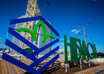 Інвестиції «Нібулону» в агросектор і логістику України перевищили $80 млн Економіка