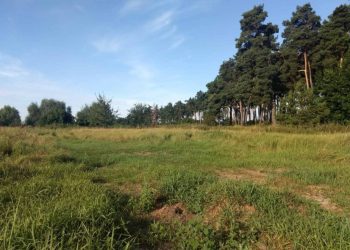Фонд гарантування вкладів виставить на торги майже 35 га землі ліквідованого РВС Банку Економіка