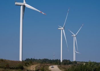 На Хмельниччині планують побудувати великий вітропарк потужністю до 117 МВт Економіка