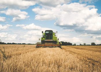 Ridne Group купує агропідприємство «Астарти» на Чернігівщині Економіка