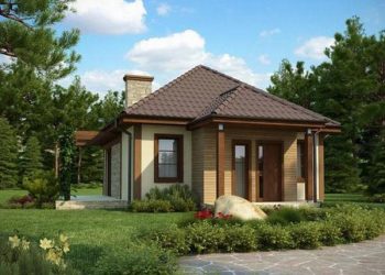 Інвестиції у приватні будинки України зростають на тлі рекордного пожвавлення ринку Економіка