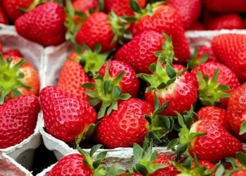 Ціни на полуницю в Києві: скільки коштує ягода в супермаркетах