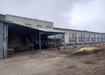 Держава продає деревообробний завод на Чернігівщині за 23 млн грн Економіка
