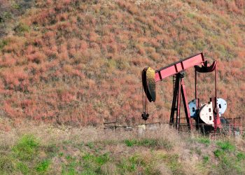 Імпорт нафти до Китаю обвалився на 41%: у чому причина |