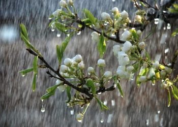 Якою буде погода в Києві на цих вихідних: прогноз на 9-10 травня