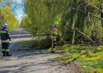 На Київщині через негоду без світла 20 тисяч родин — ДТЕК