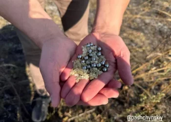 На місці падіння російського «шахеда» в Ірпінській громаді виявили металеві кульки | ІРПІНСЬКИЙ ВІСНИК