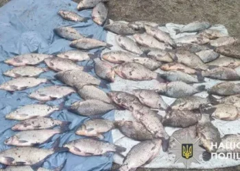 Незаконний улов на понад 90 тисяч гривень: на річці в Ірпені викрили браконьєра | ІРПІНСЬКИЙ ВІСНИК