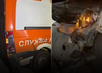 Олень Борис вдруге потрапив у ДТП під час транспортування до Києва (ВІДЕО)