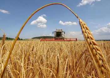 Путін не стримав обіцянки: в РФ проблеми зі збором урожаю, старт кампанії перенесли – Економіка