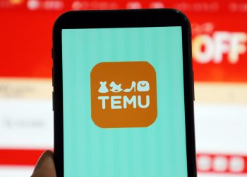 Сенат Франції схвалив законопроєкт, який обмежує діяльність Temu – Економіка