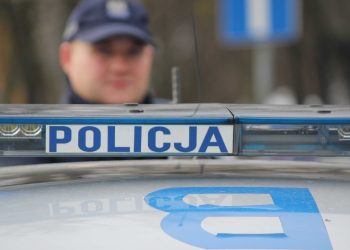 У Варшаві четверо українців побили таксиста та пошкодили його авто – СВІТ