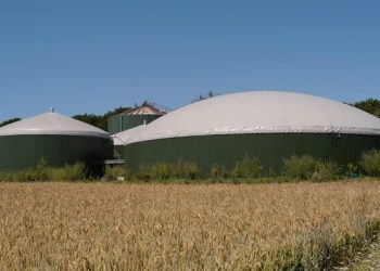 В Україні прогнозують зростання виробництва біометану за підтримки ЄІБ |