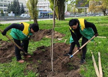 Висадили понад 600 дерев і кущі: столиця долучилась до міжнародної акції