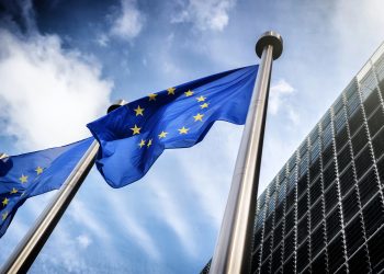 ЄС змінює правила імпорту тваринної продукції: українські експортери мають адаптуватися до нових вимог |